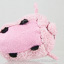 Disney Store Mini Tsum Tsum Without Fleece On