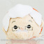 Japanese Disney Store 4th Anniversary Tsum Tsum