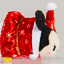 Japanese Disney Store Mini Tsum Tsum